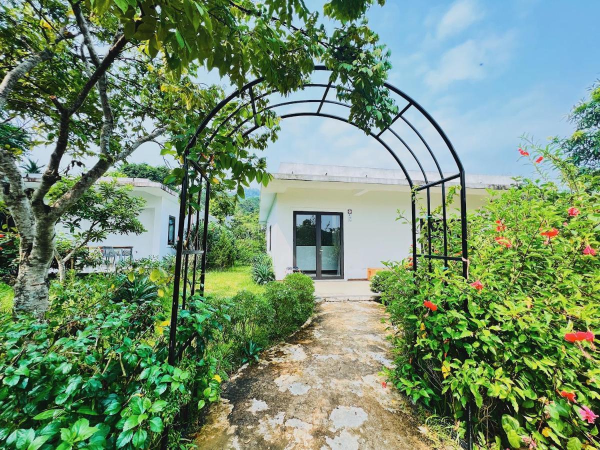Rose Villas & Resort - Ba VI Son Tay Екстер'єр фото